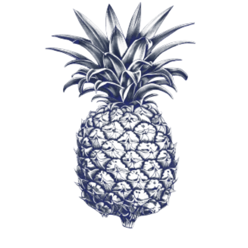 web-app-manifest-512×512